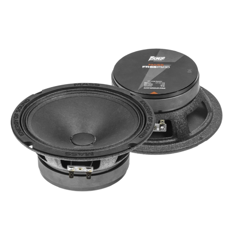 Динамики эстрадные AMP MASS FR65P100